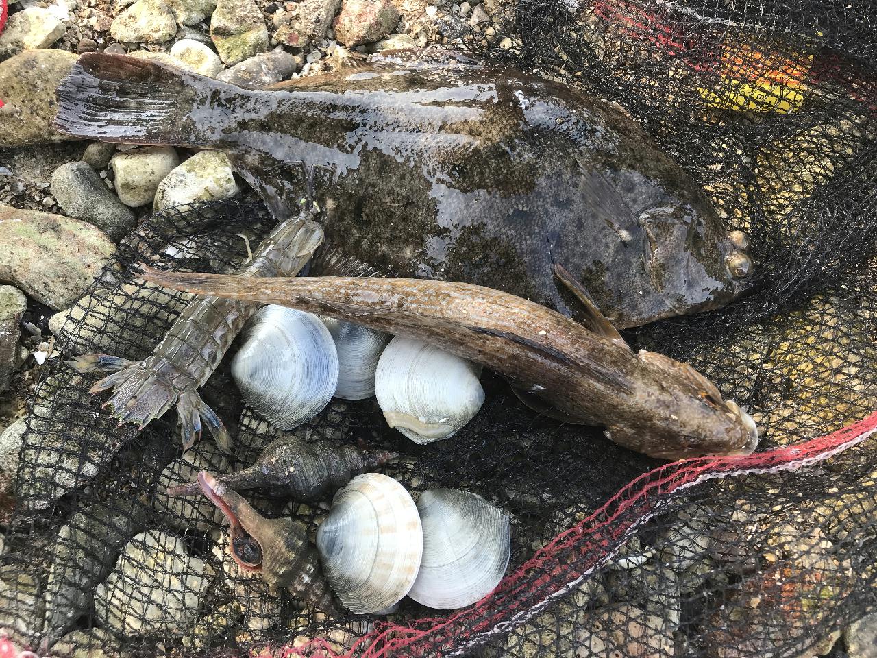 8.16-17 마산앞바다 2깡