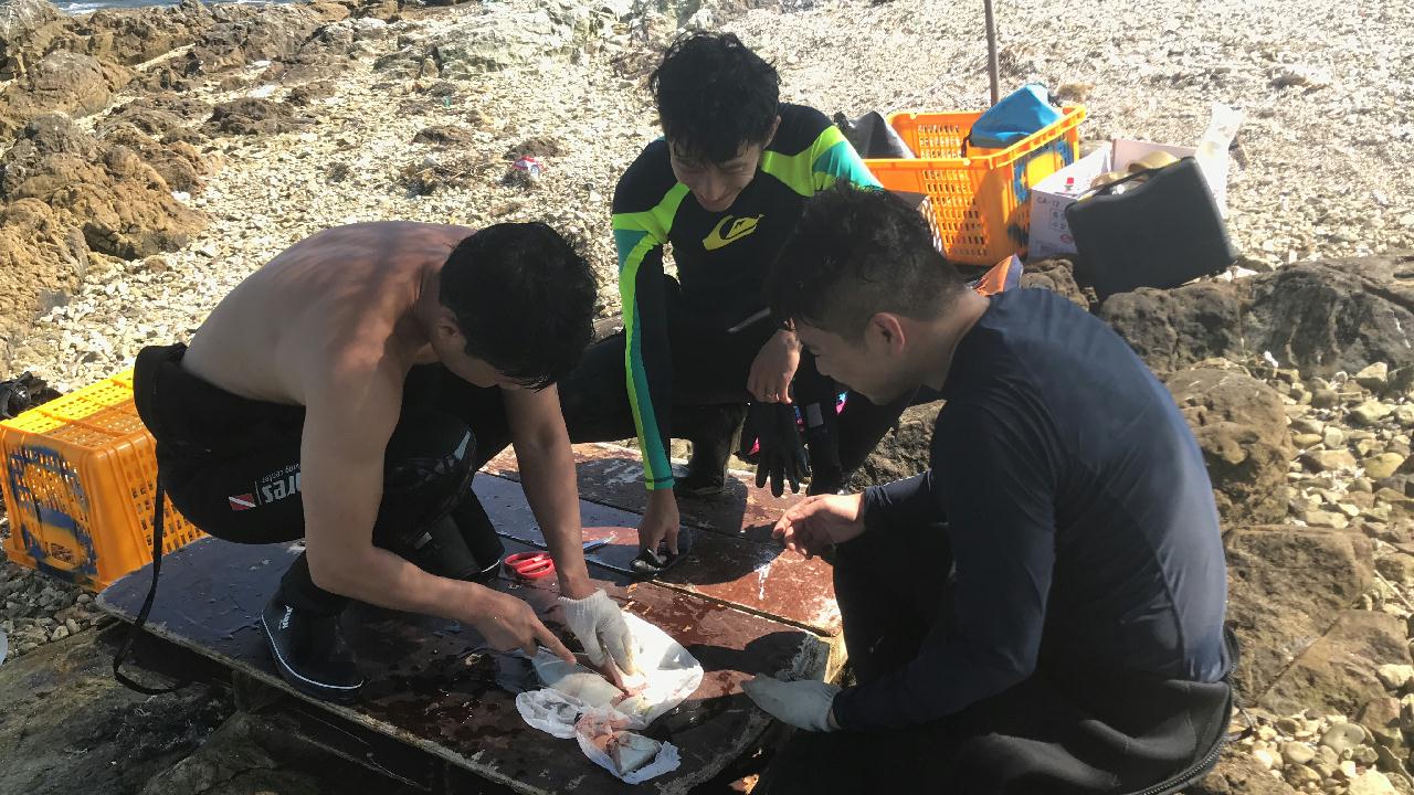 8.16-17 마산앞바다 2깡