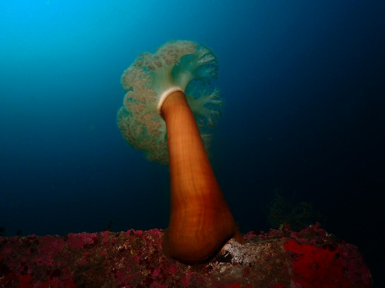 자유하강 포인트 마라도