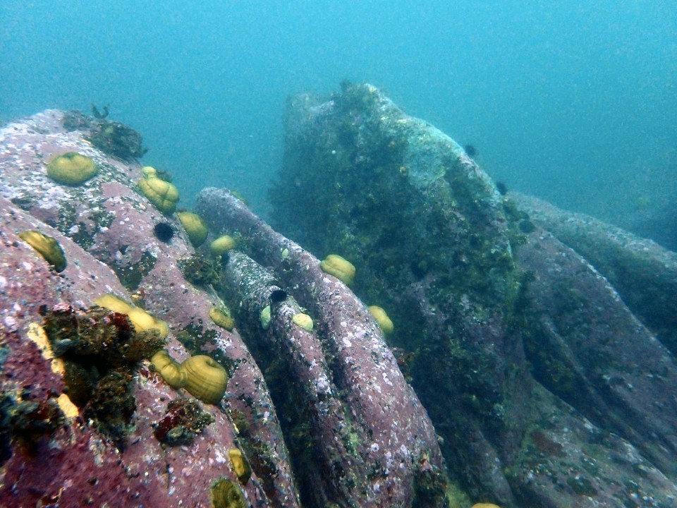 양양 칸다이브_자연짬 이쁜데