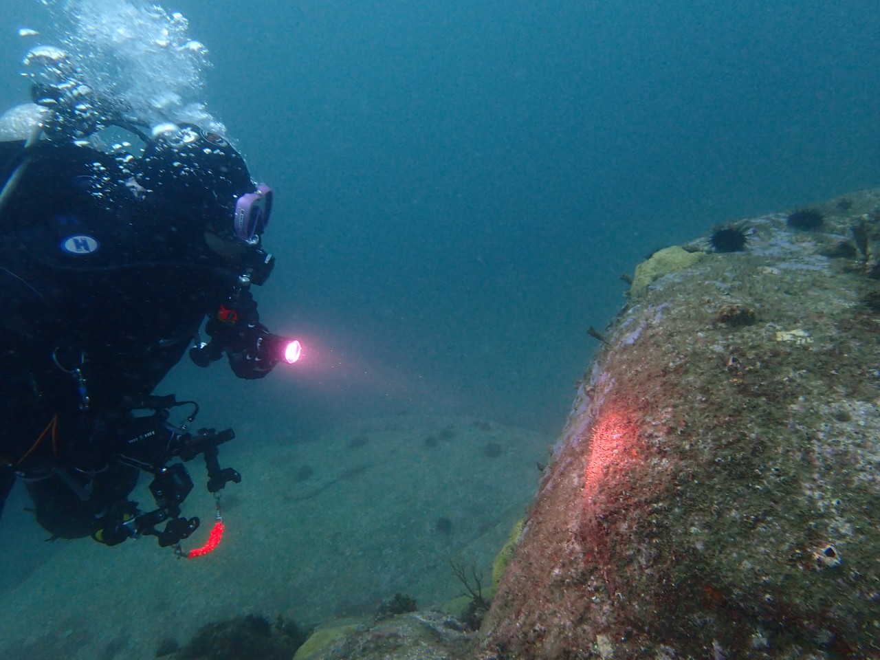 양양 칸다이브_자연짬 이쁜데