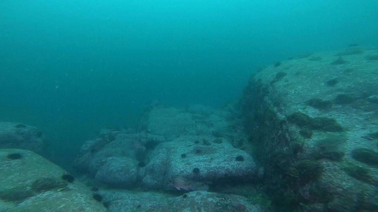 양양 칸다이브_자연짬 이쁜데