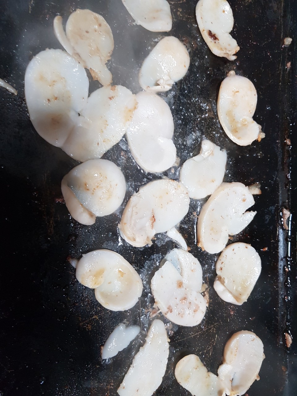 양양 칸다이브_포인트개척_서비스깡