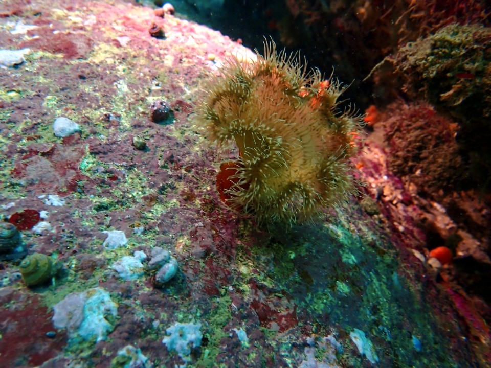 양양 칸다이브_자연짬 이쁜데