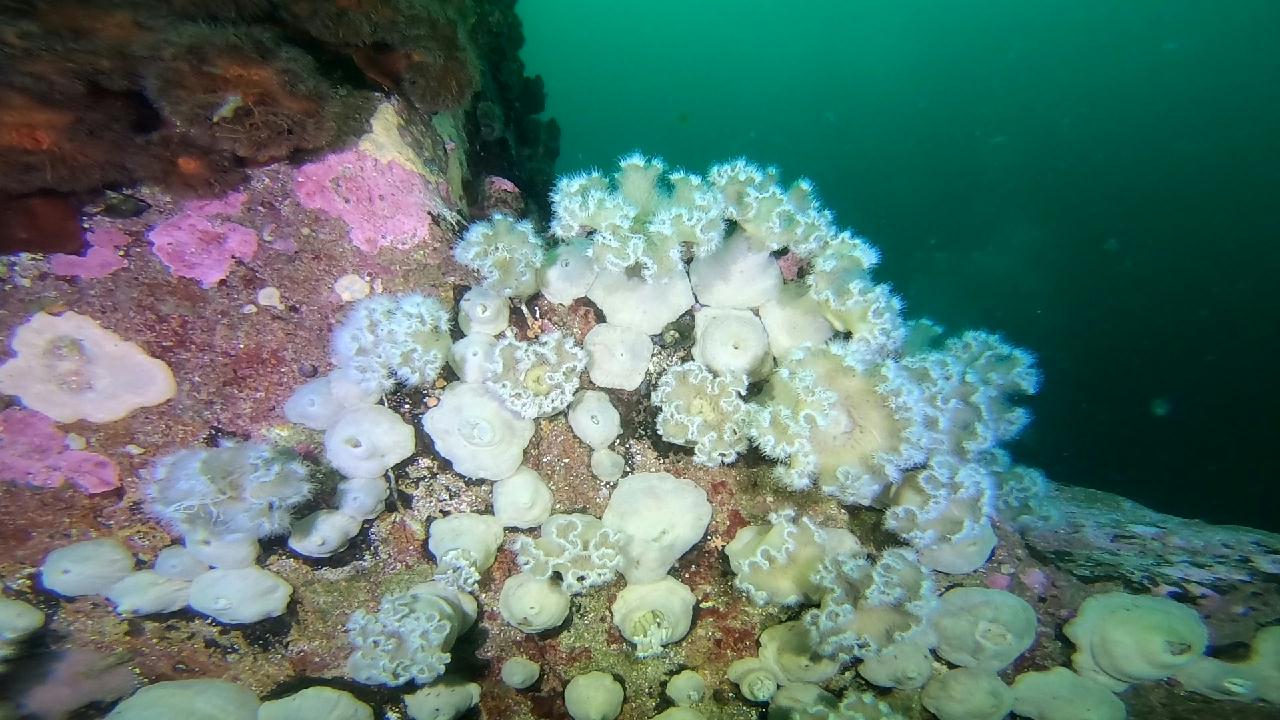 고성 문암 _ 금강산