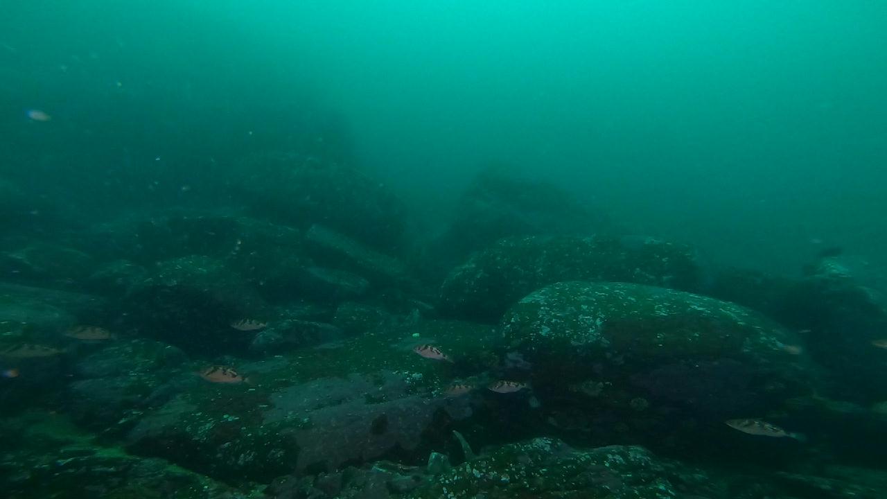 고성 문암 _ 금강산