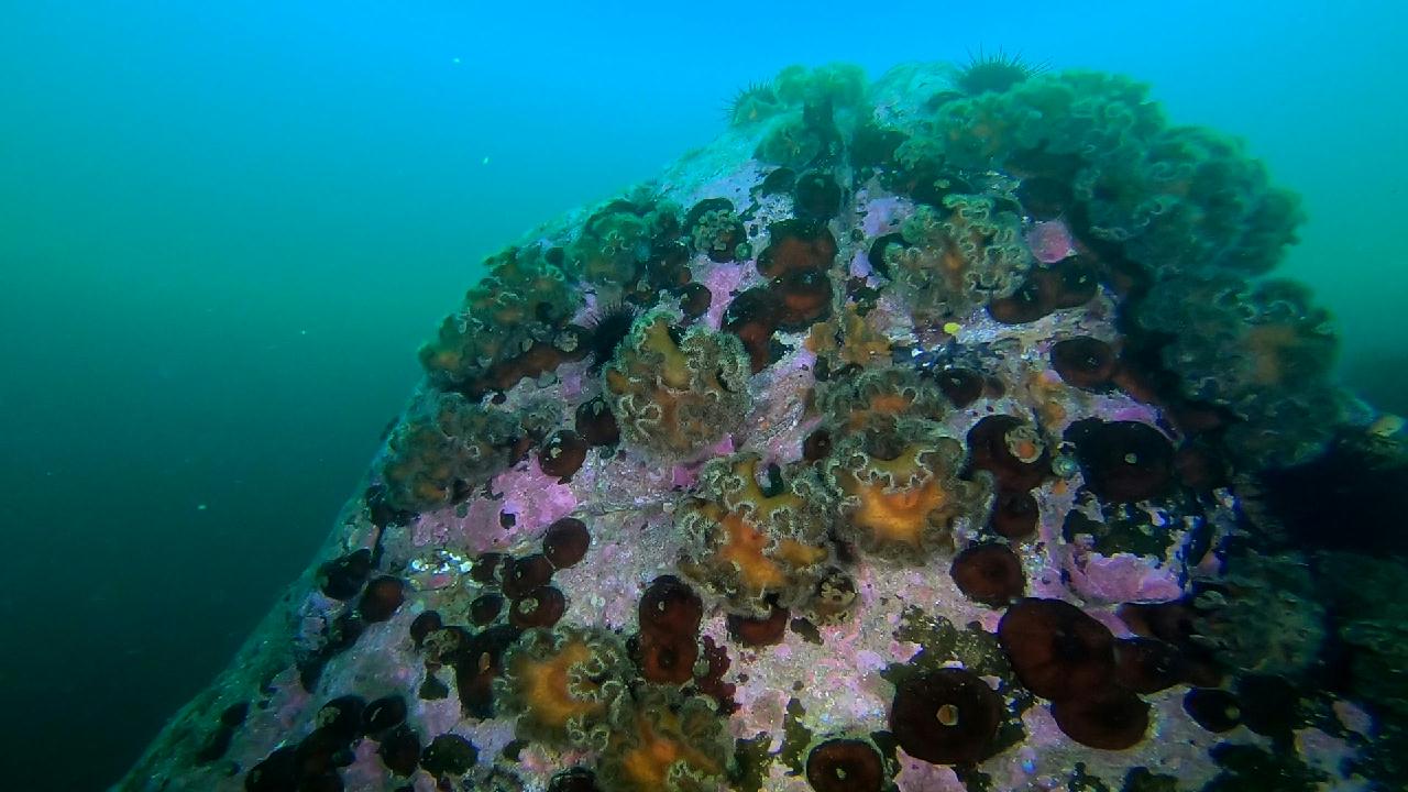 고성 문암 _ 금강산