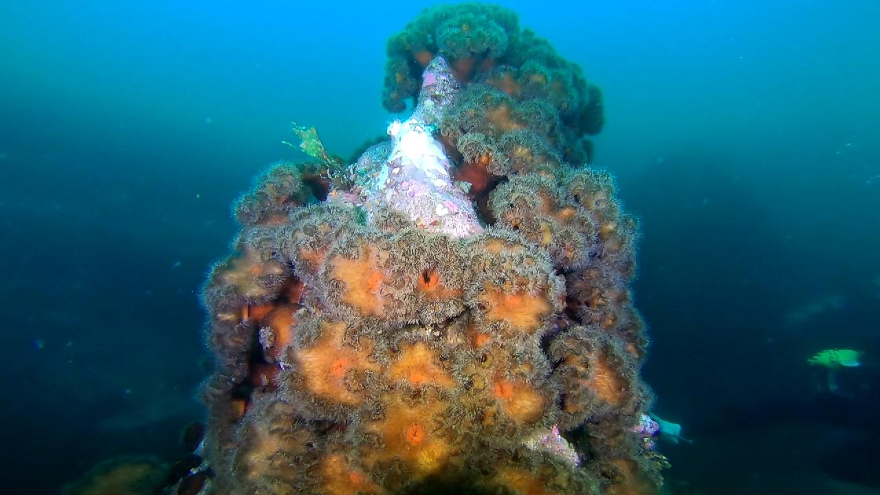 고성 문암 _ 금강산