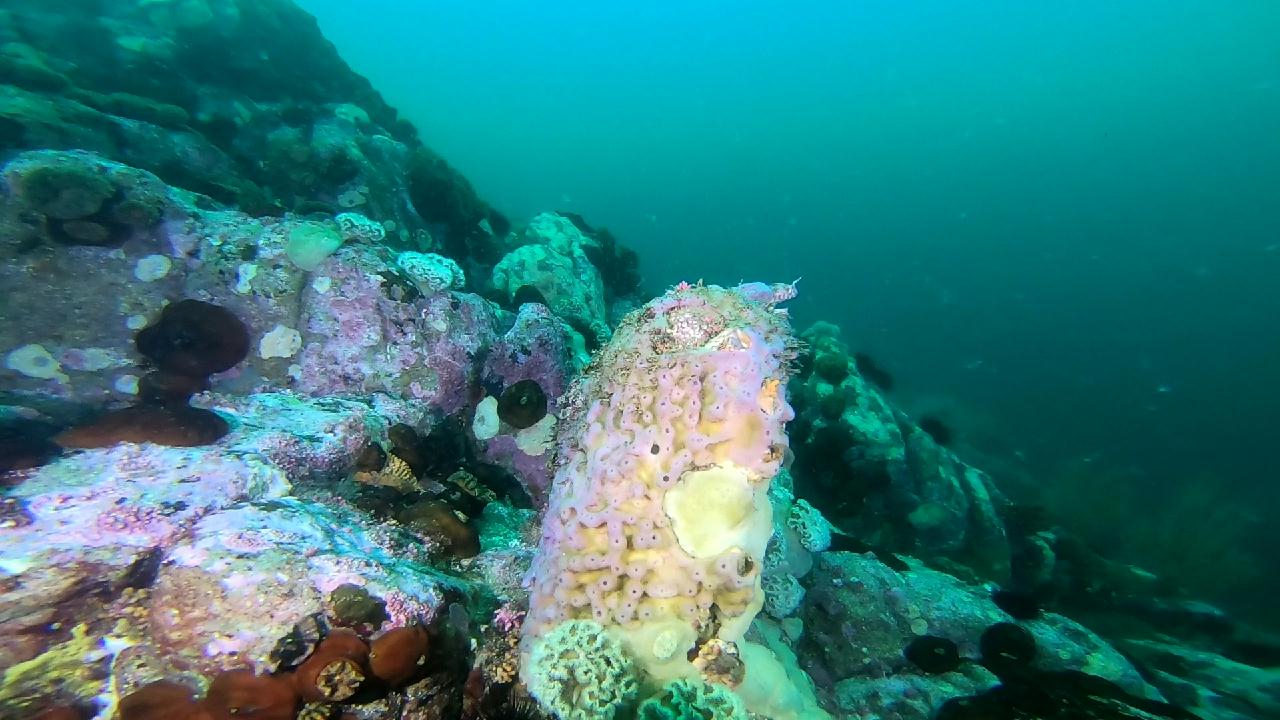 고성 문암 _ 금강산