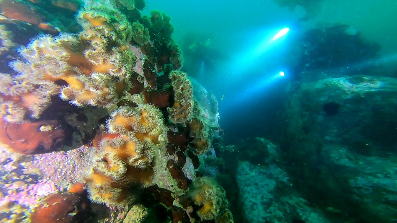 고성 문암 _ 금강산