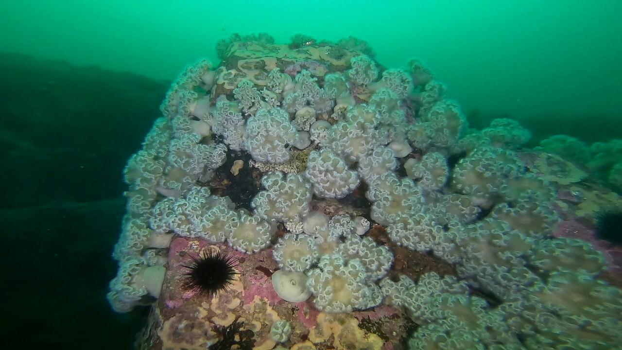 고성 문암 _ 금강산