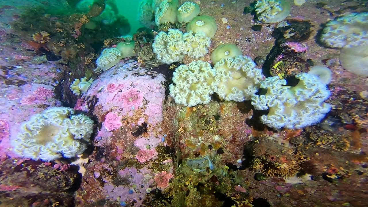 고성 문암 _ 금강산