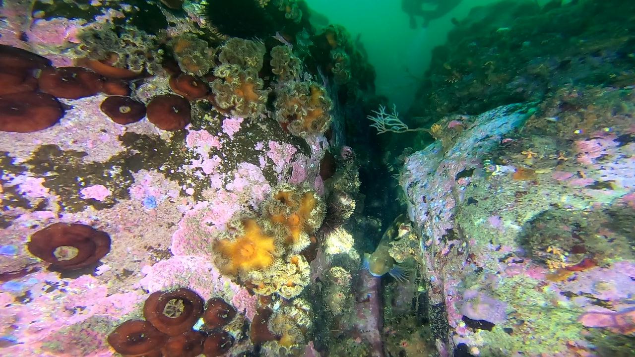 고성 문암 _ 금강산