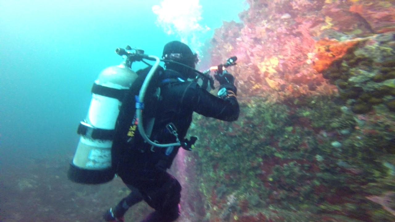 고성 문암 _ 금강산