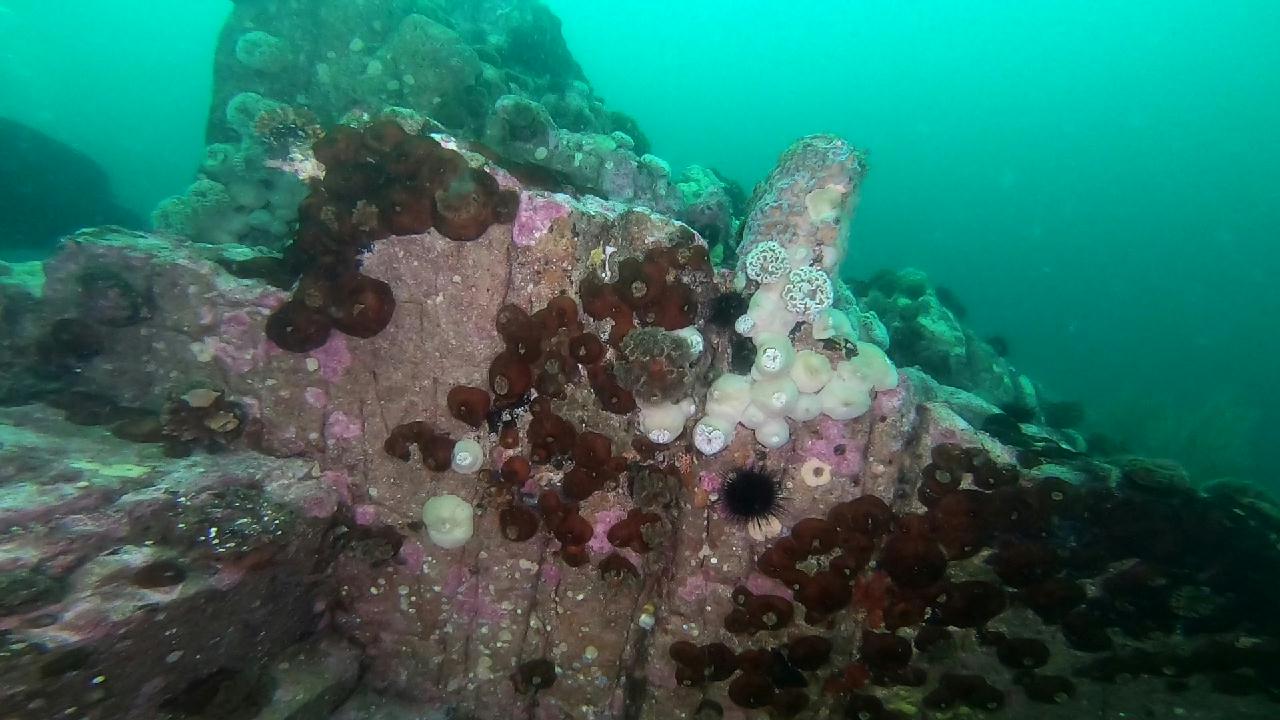 고성 문암 _ 금강산