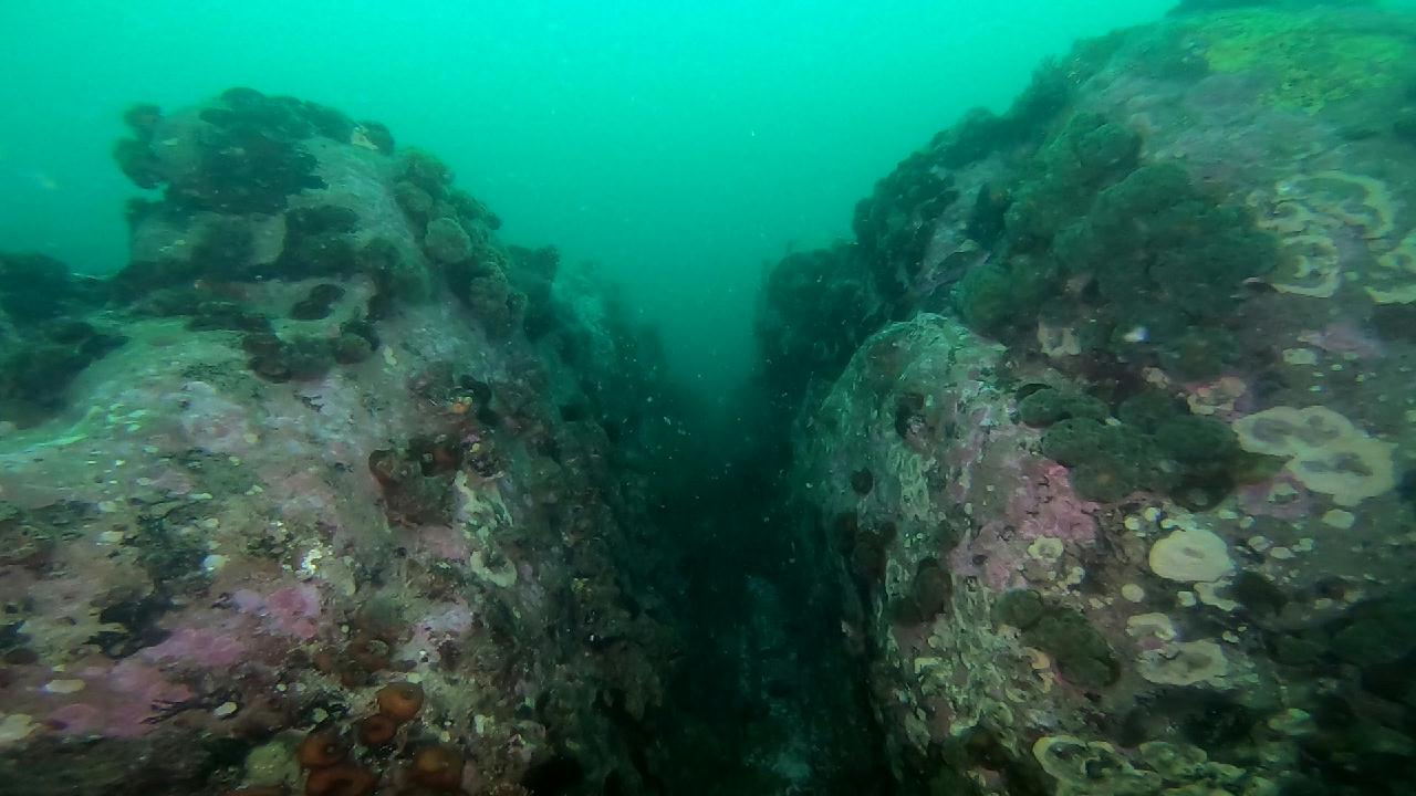 고성 문암 _ 금강산