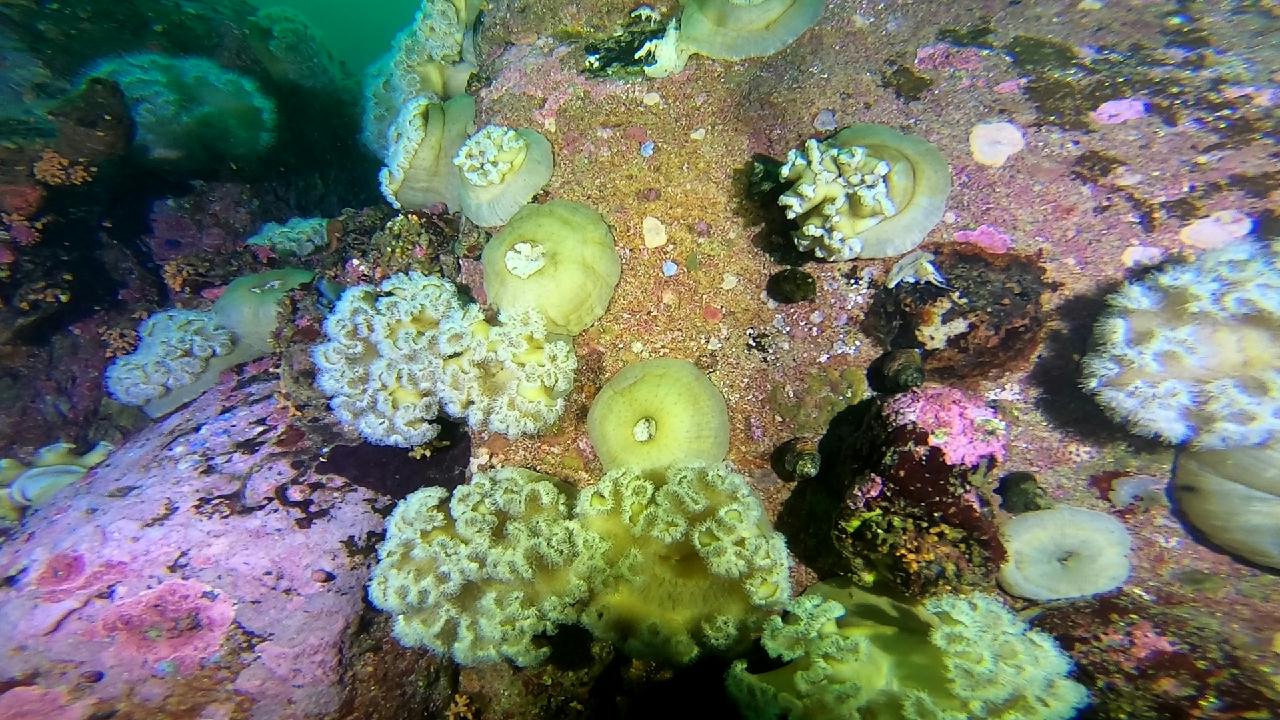 고성 문암 _ 금강산