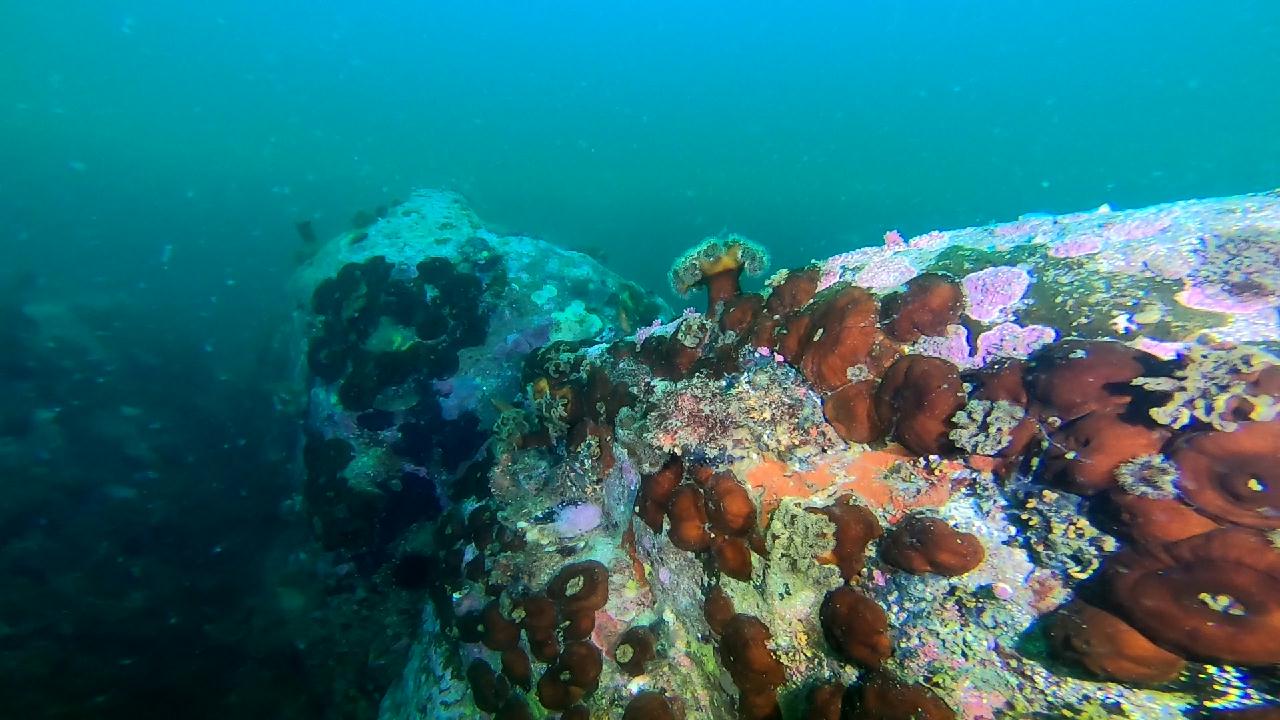 고성 문암 _ 금강산