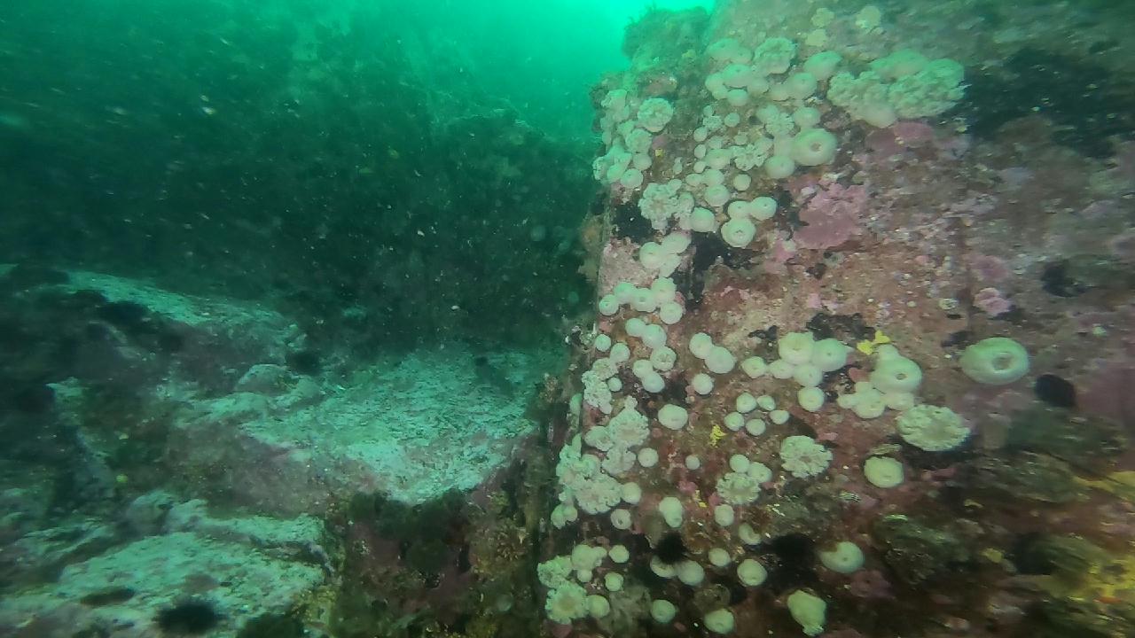 고성 문암 _ 금강산