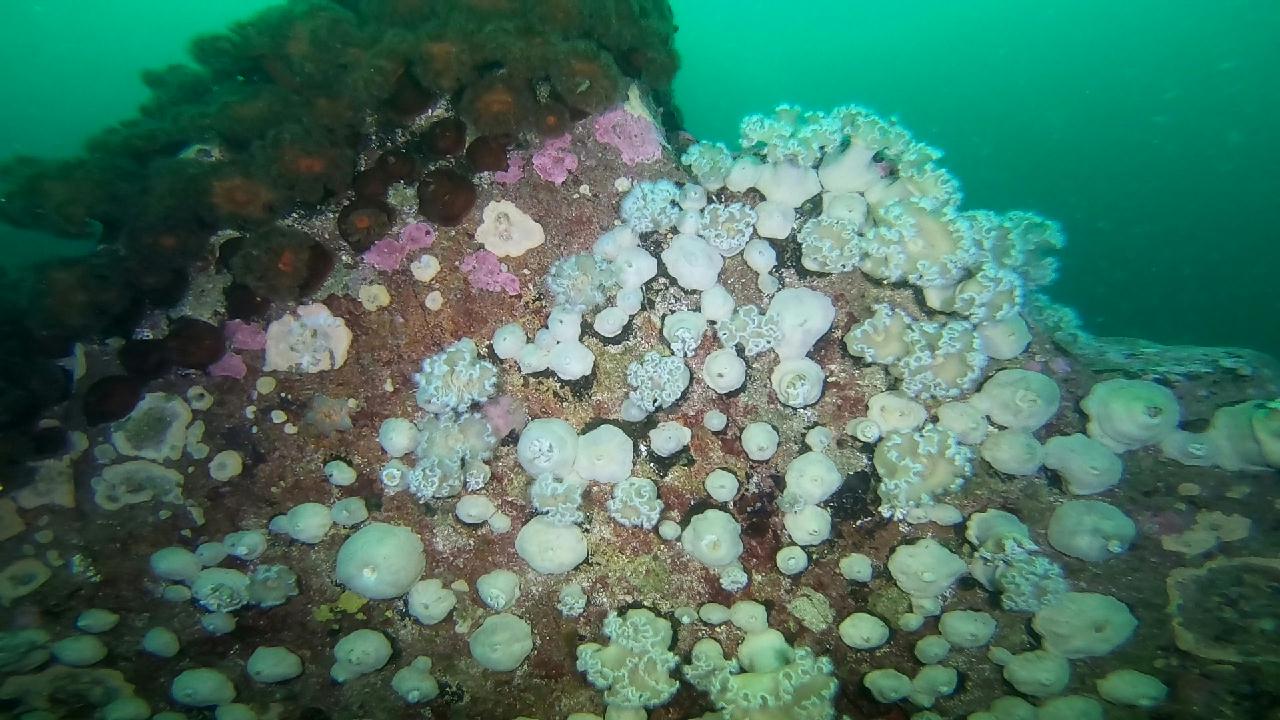 고성 문암 _ 금강산