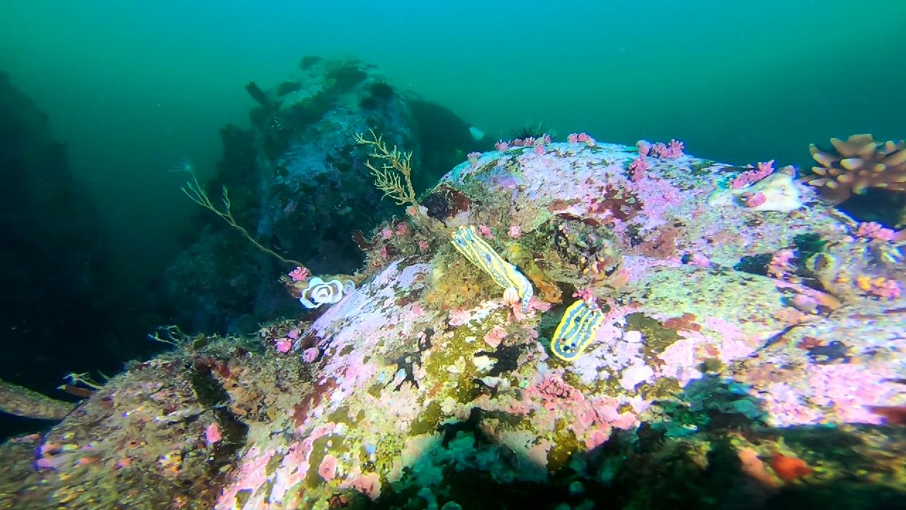 고성 문암 _ 금강산