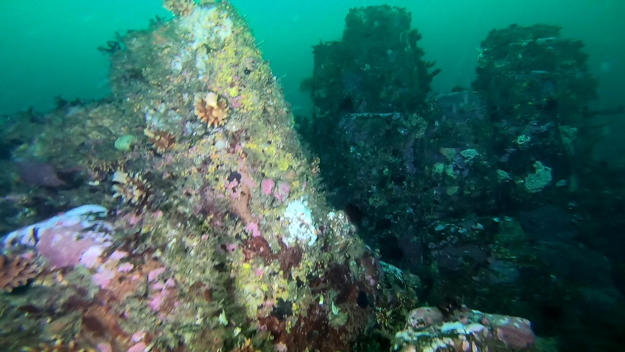 고성 문암 _ 금강산