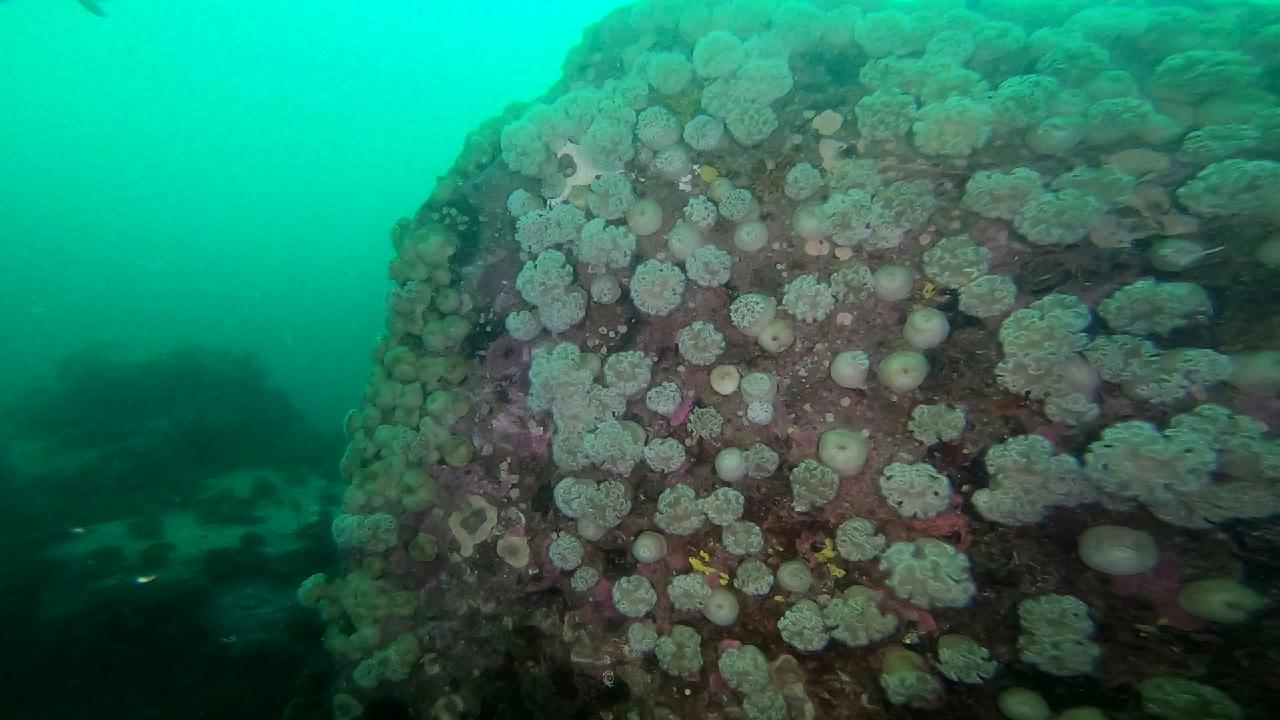 고성 문암 _ 금강산