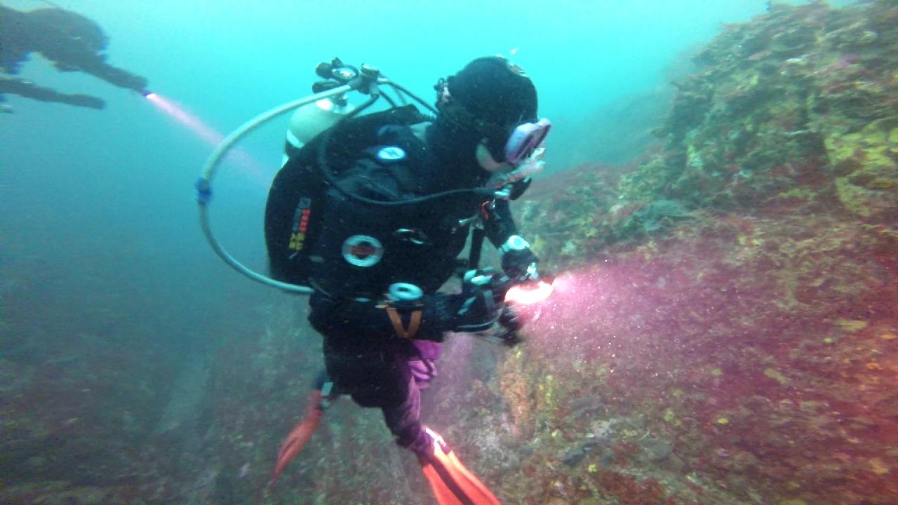 고성 문암 _ 금강산