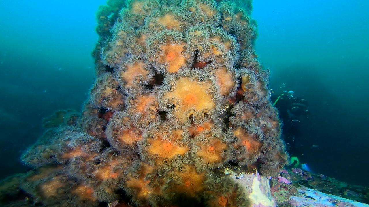 고성 문암 _ 금강산