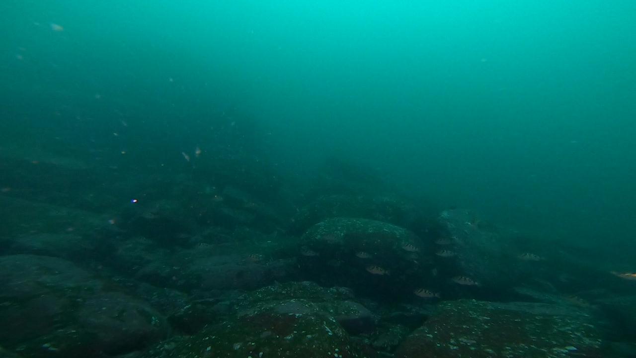 고성 문암 _ 금강산