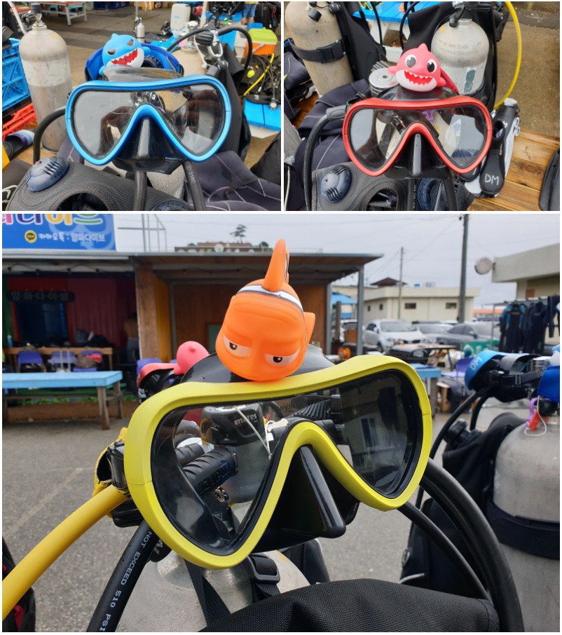 다이브맵이 국내 스쿠버 다이빙 추억을 이쁘게 담아드립니다