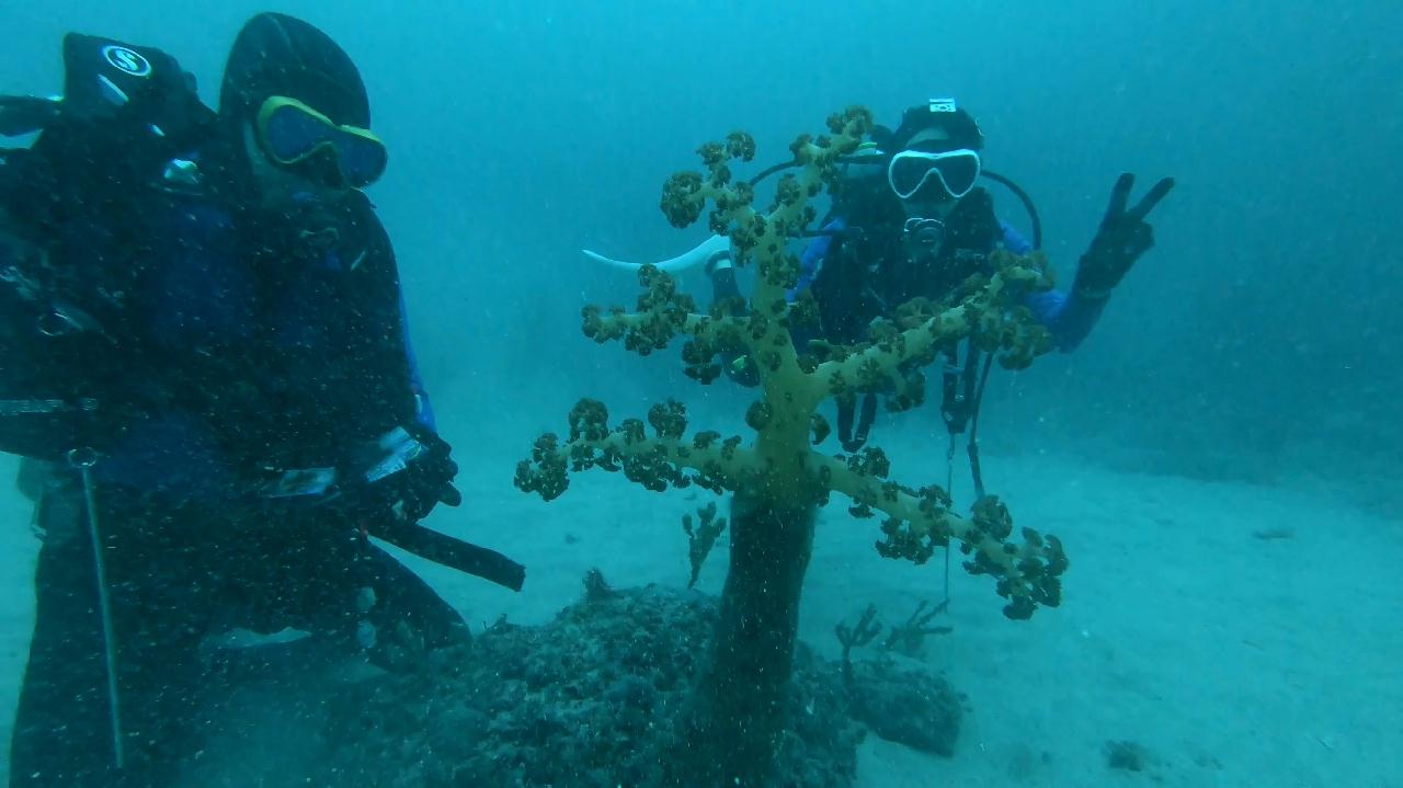 섶섬에서 펀다이빙