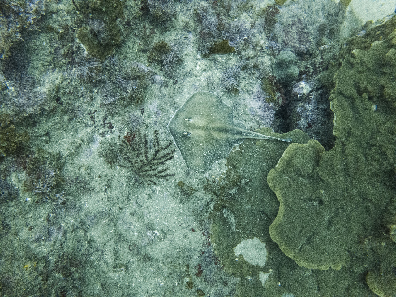 섶섬- 작은한개창