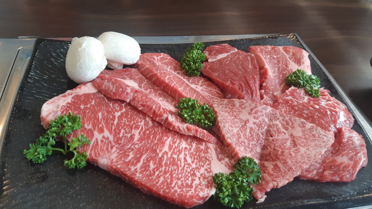 양양 칸다이브_얕은짬