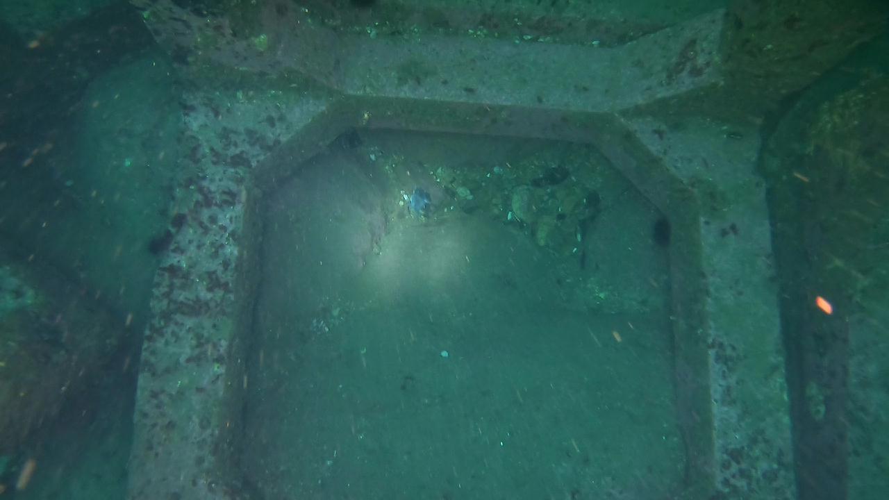 양양 칸다이브_모래바닥, 인공어초