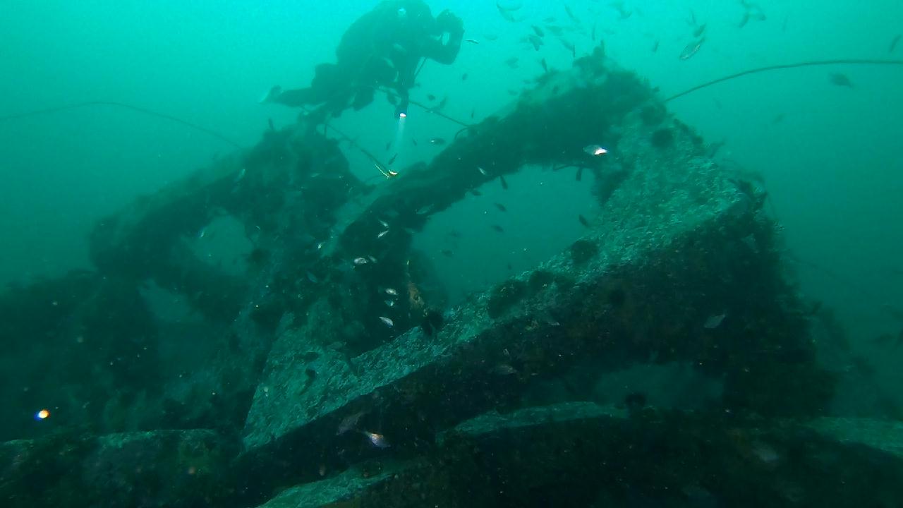 양양 칸다이브_모래바닥, 인공어초