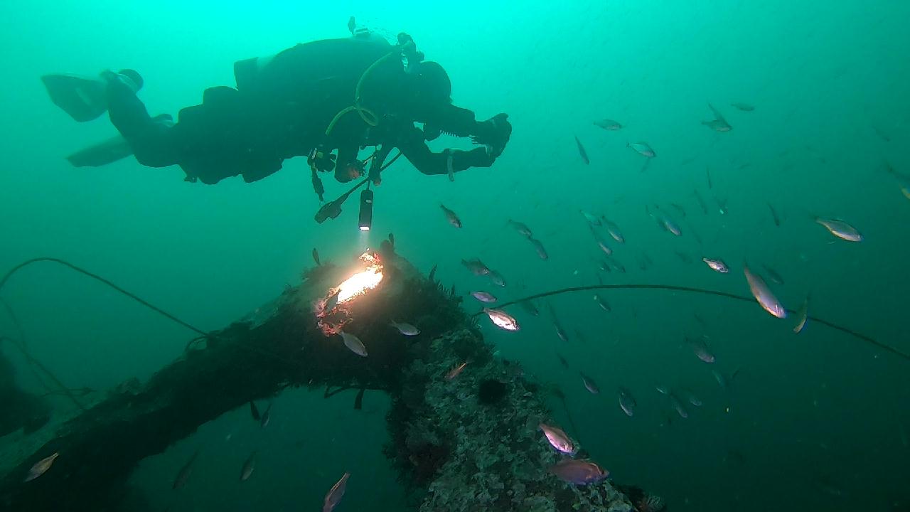 양양 칸다이브_모래바닥, 인공어초