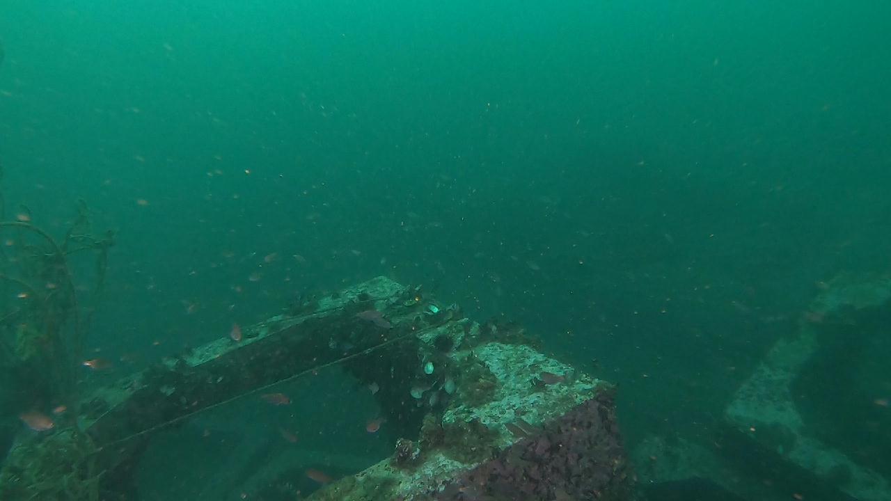 양양 칸다이브_모래바닥, 인공어초