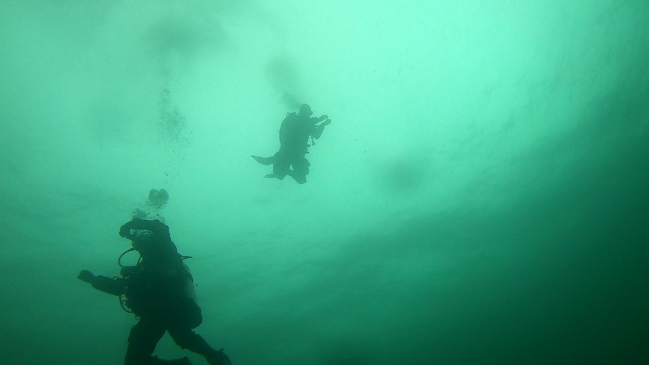 양양 칸다이브_모래바닥, 인공어초