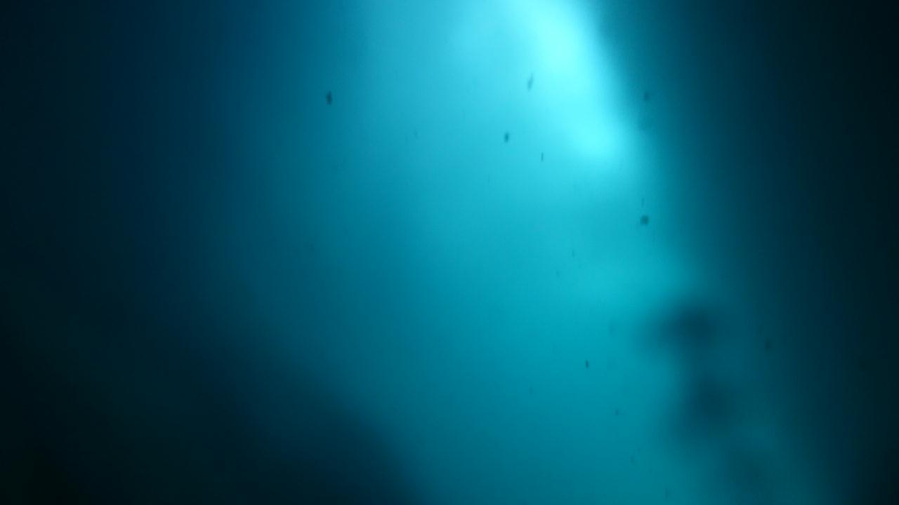 제들리에(8로그)