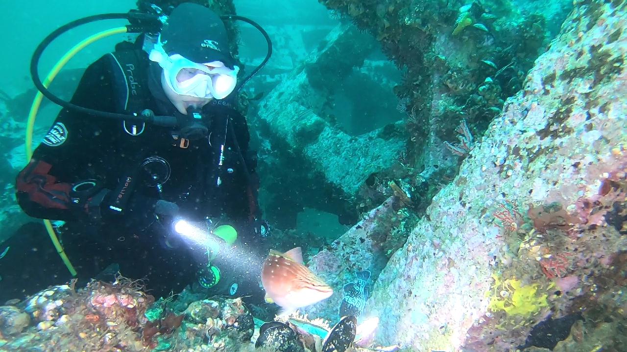 양양 칸다이브_휴휴암 먼곳 어초