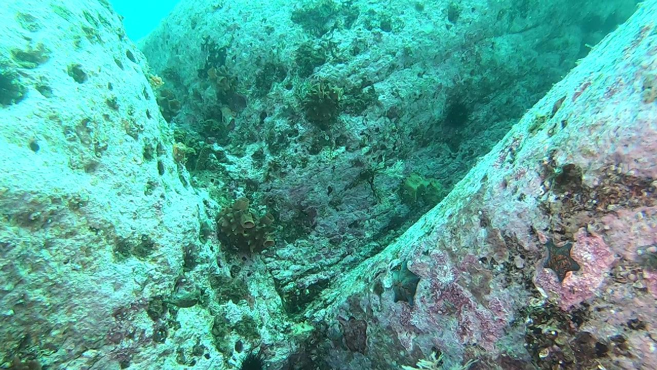 양양 칸다이브_얕은짬