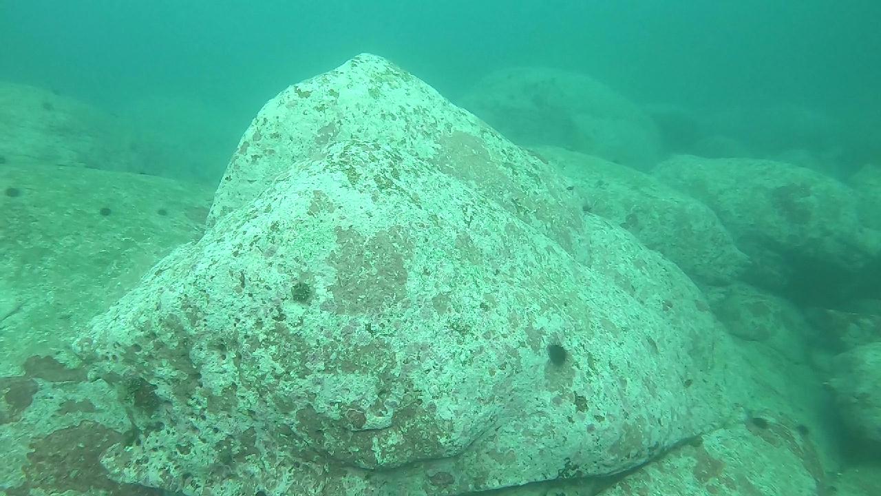 양양 칸다이브_얕은짬