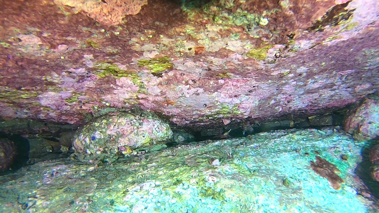 양양 칸다이브_얕은짬