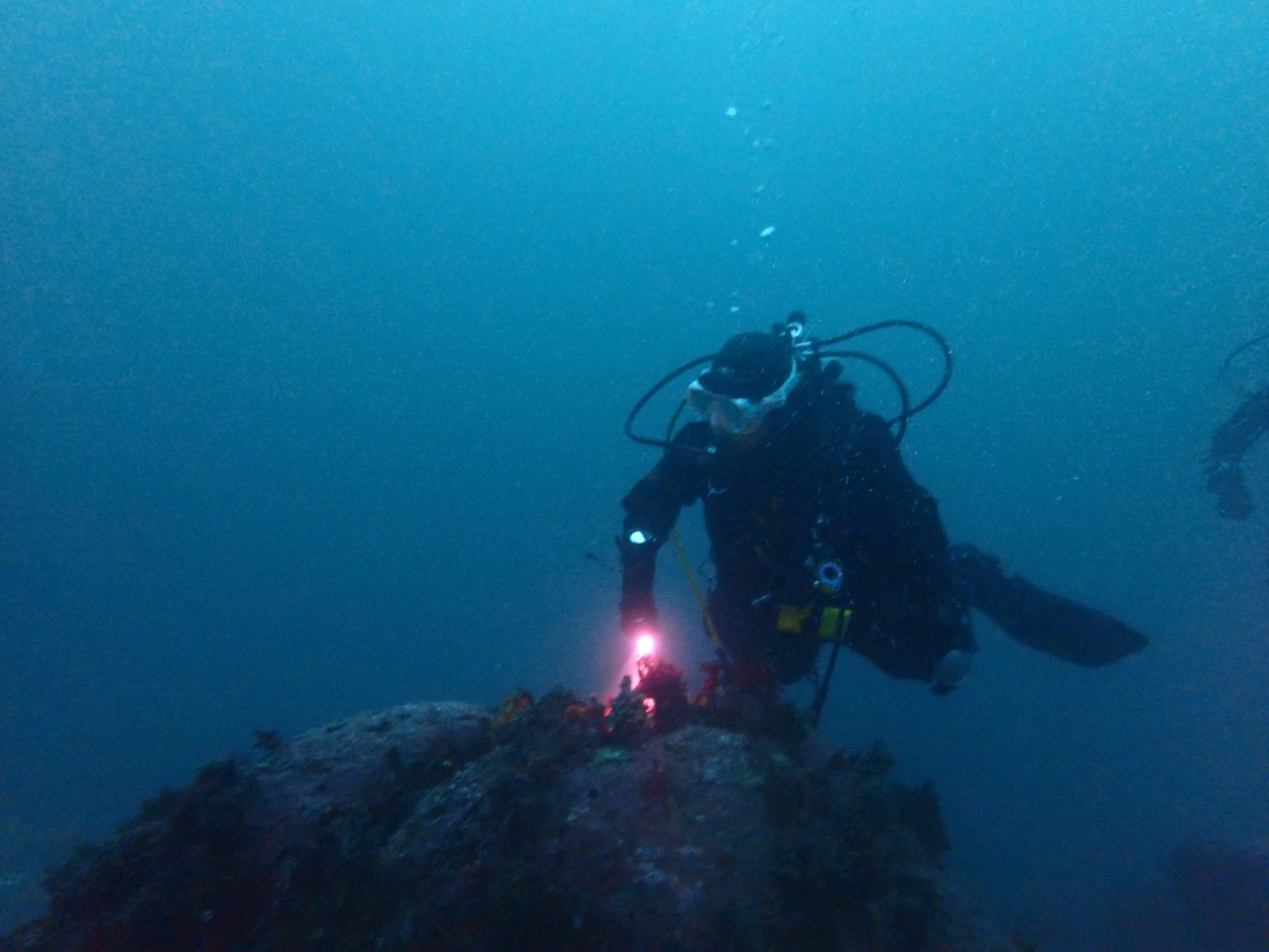 양양 칸다이브_휴휴암 먼곳 어초