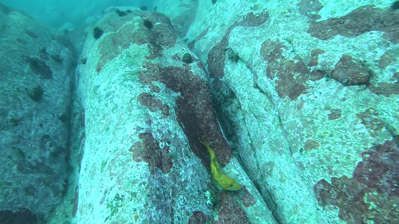 양양 칸다이브_얕은짬