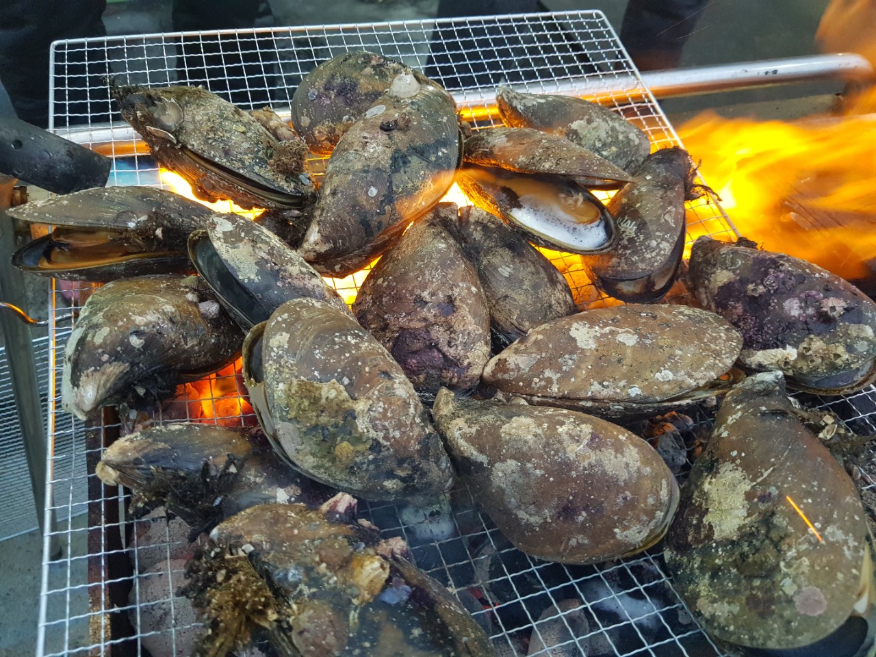 양양 칸다이브_휴휴암 먼곳 어초