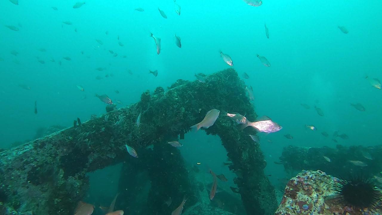 양양 칸다이브_휴휴암 먼곳 어초