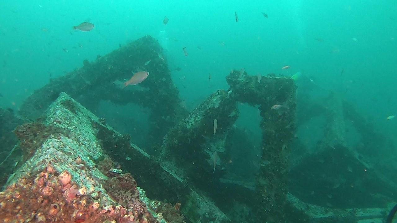 양양 칸다이브_휴휴암 먼곳 어초