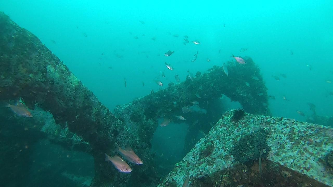 양양 칸다이브_휴휴암 먼곳 어초